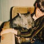 yrtleford - Joe e il suo wombat.